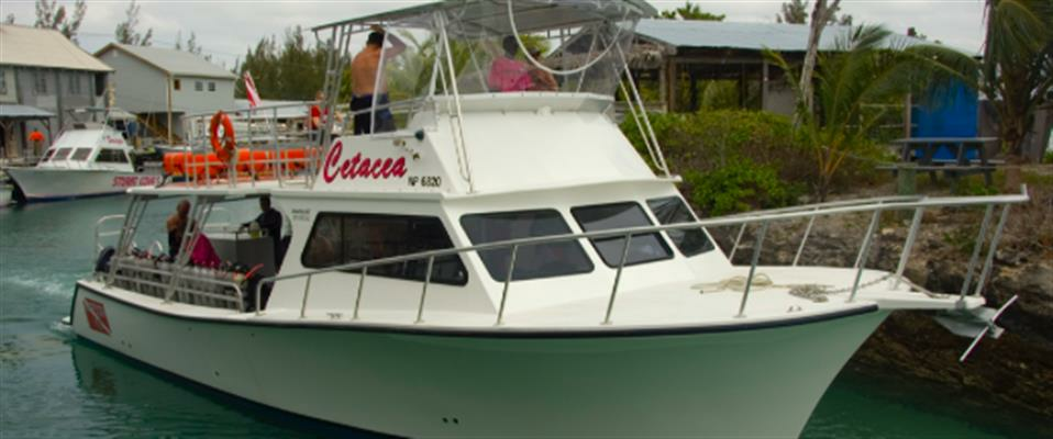 Extra Large 46 ft.+ Boat Charter Full Day
